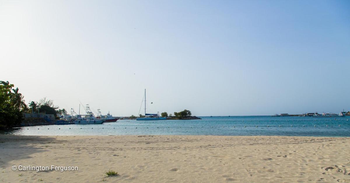 Turtle Beach Towers Ocho Rios Exteriör bild